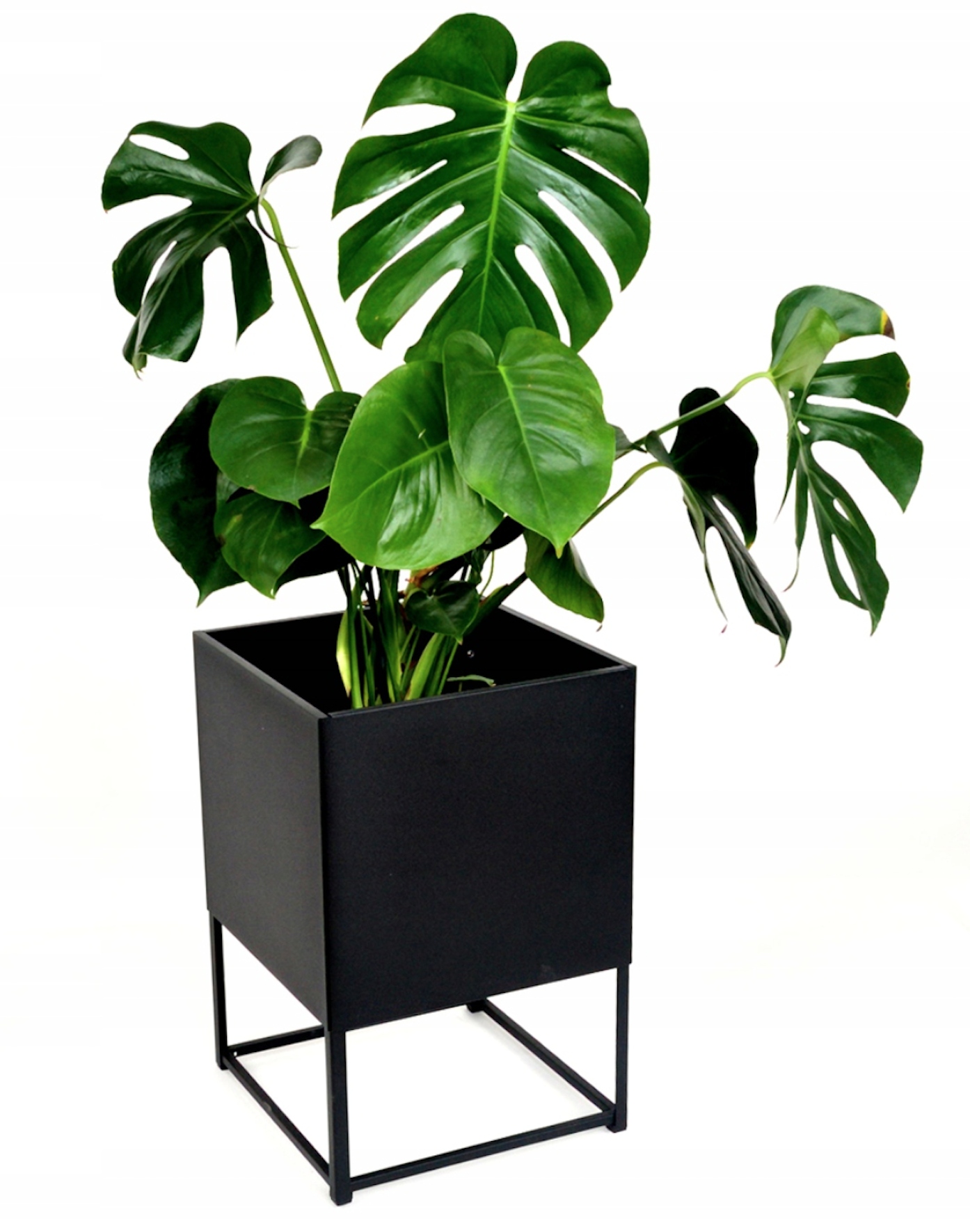 

Donica składana Ponza maxi 60 cm czarna ogrodowa