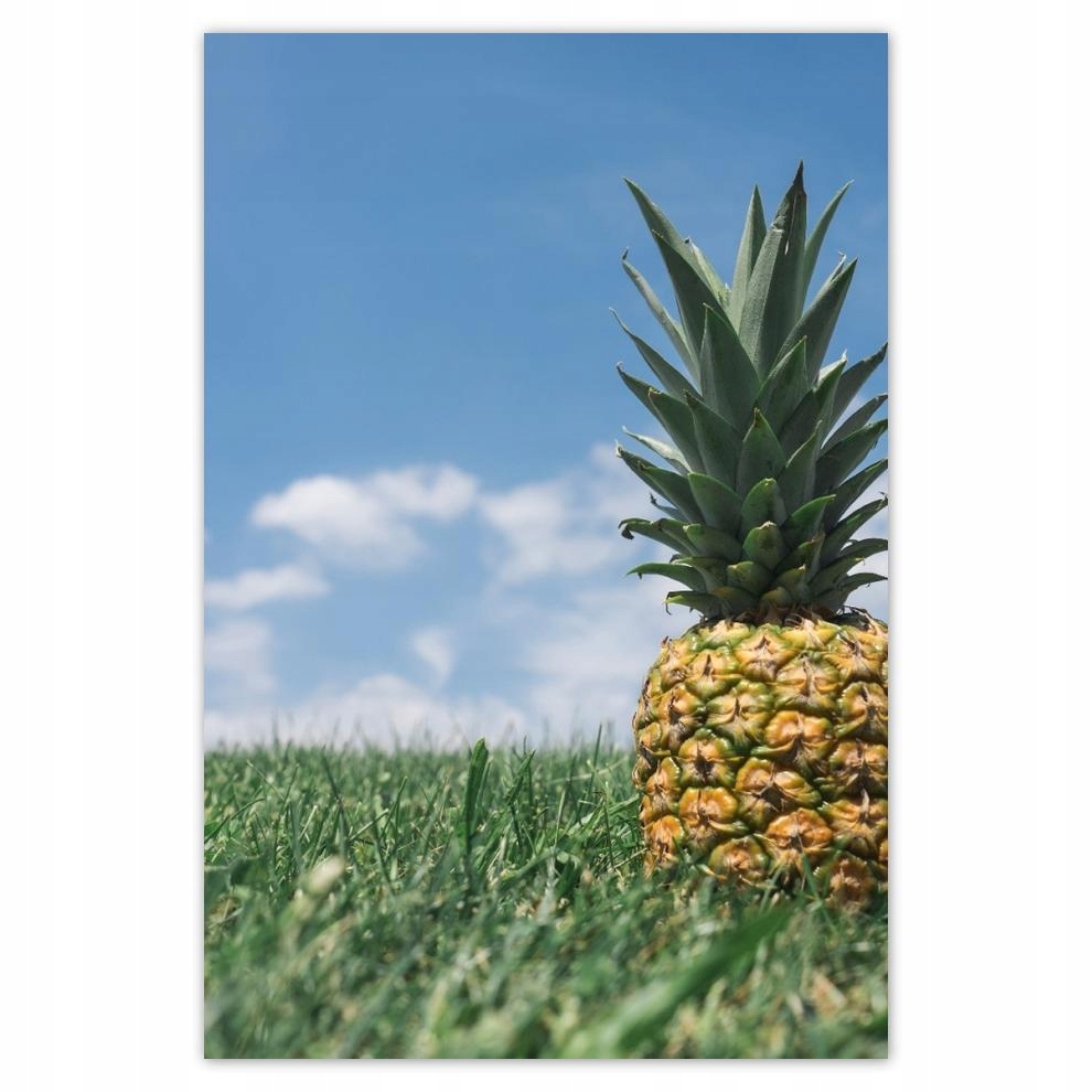 

Plakat 62x93 Ananasowy pejzaż