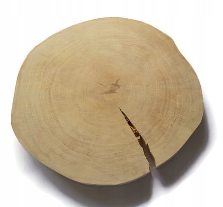 Bříza broušená bez kůry 45-50 4 cm s trhlinou