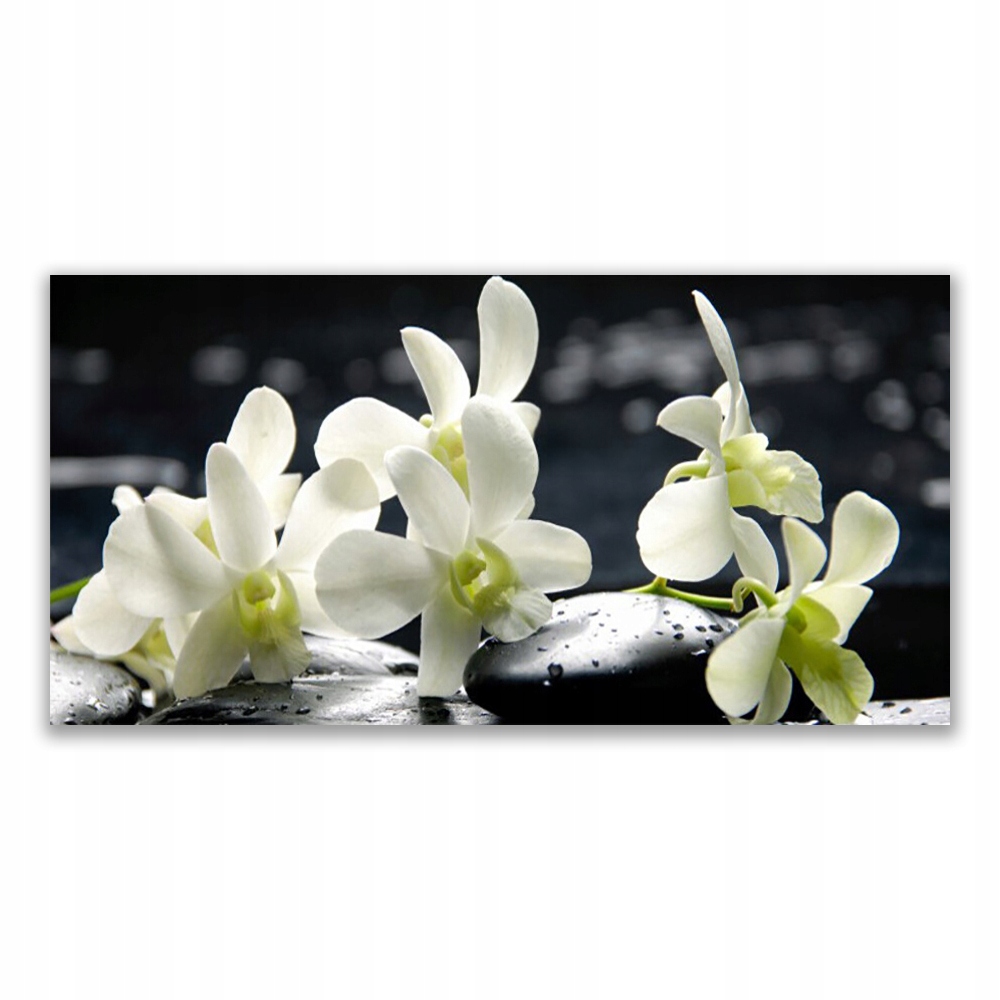 Fotoobraz na zeď 120x60 Květina Orchidej Rostlina