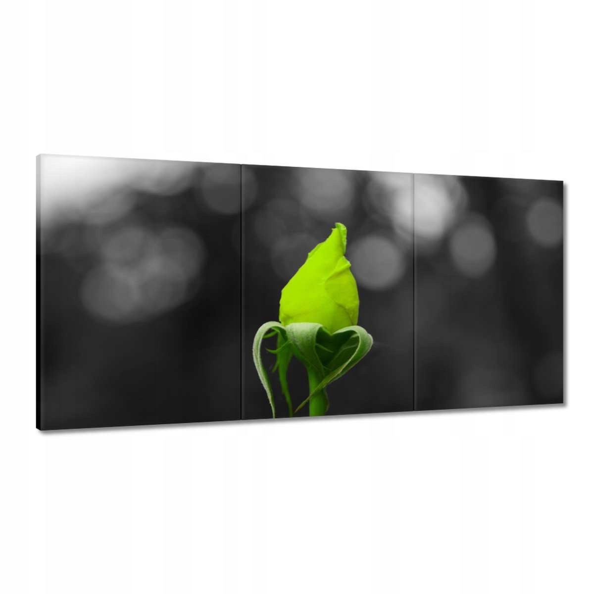 Obrazy 180x90 Limetková ruža