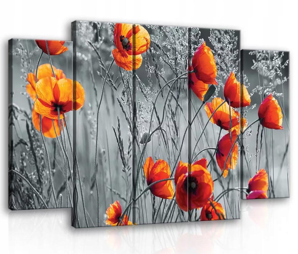 Obraz Na Plátně Canvas 150x100 Maki Květiny Louka