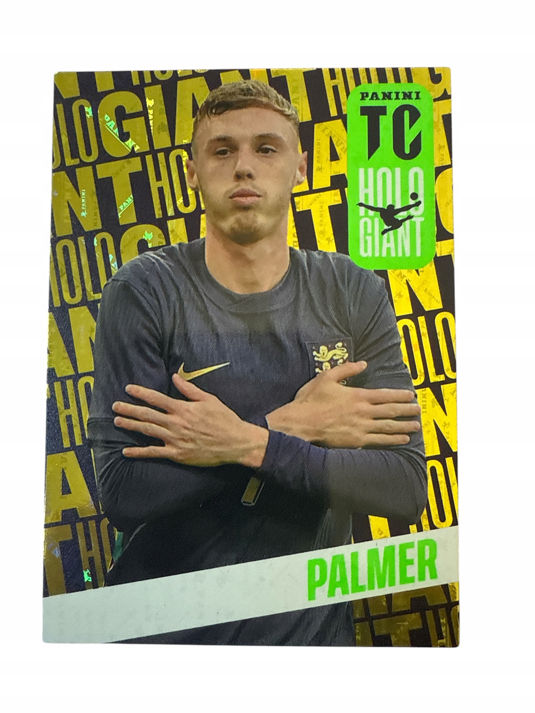 Top Class 2025 Limited Holo Palmer