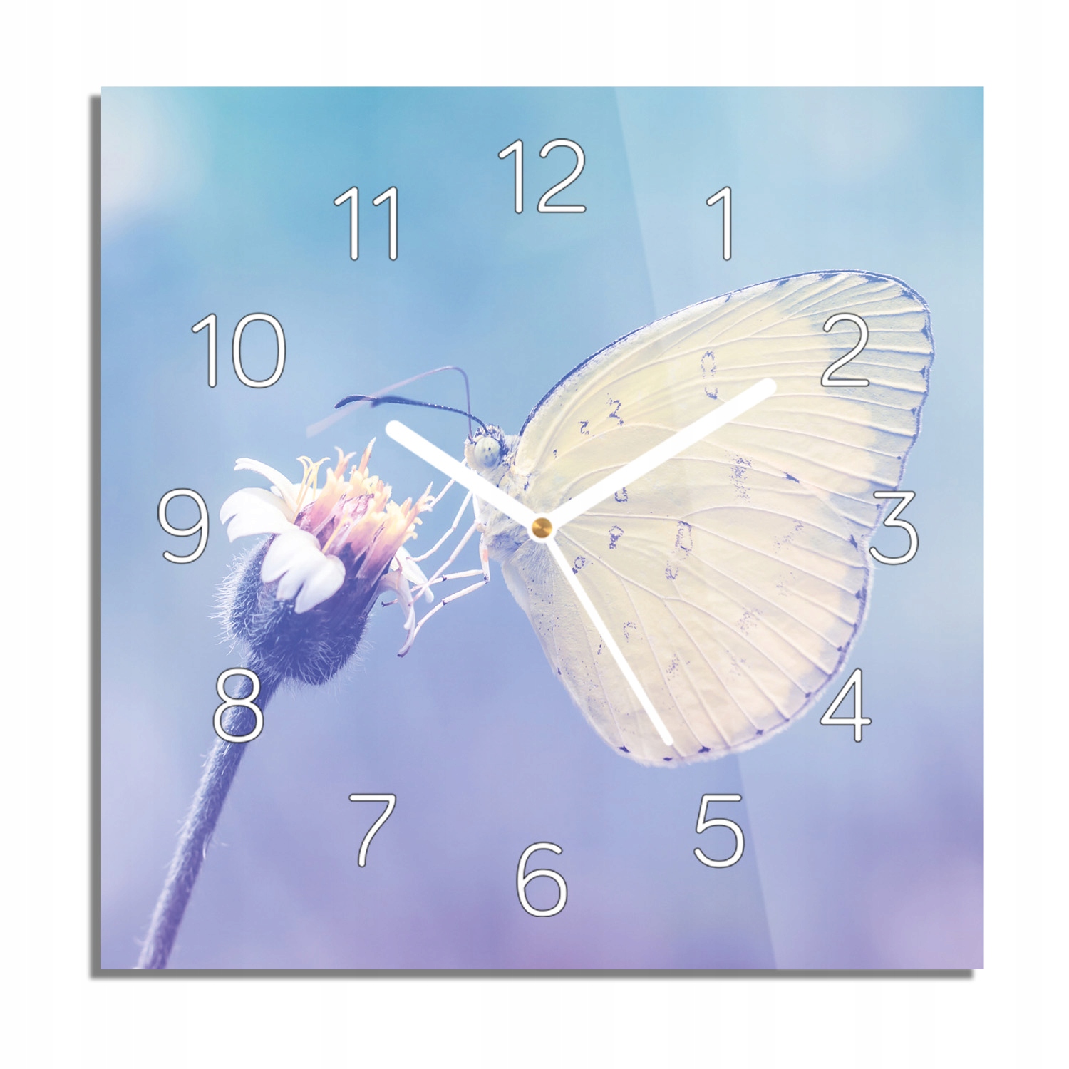 Motýl květina nebe foto-hodiny s grafikou 30x30 tichý