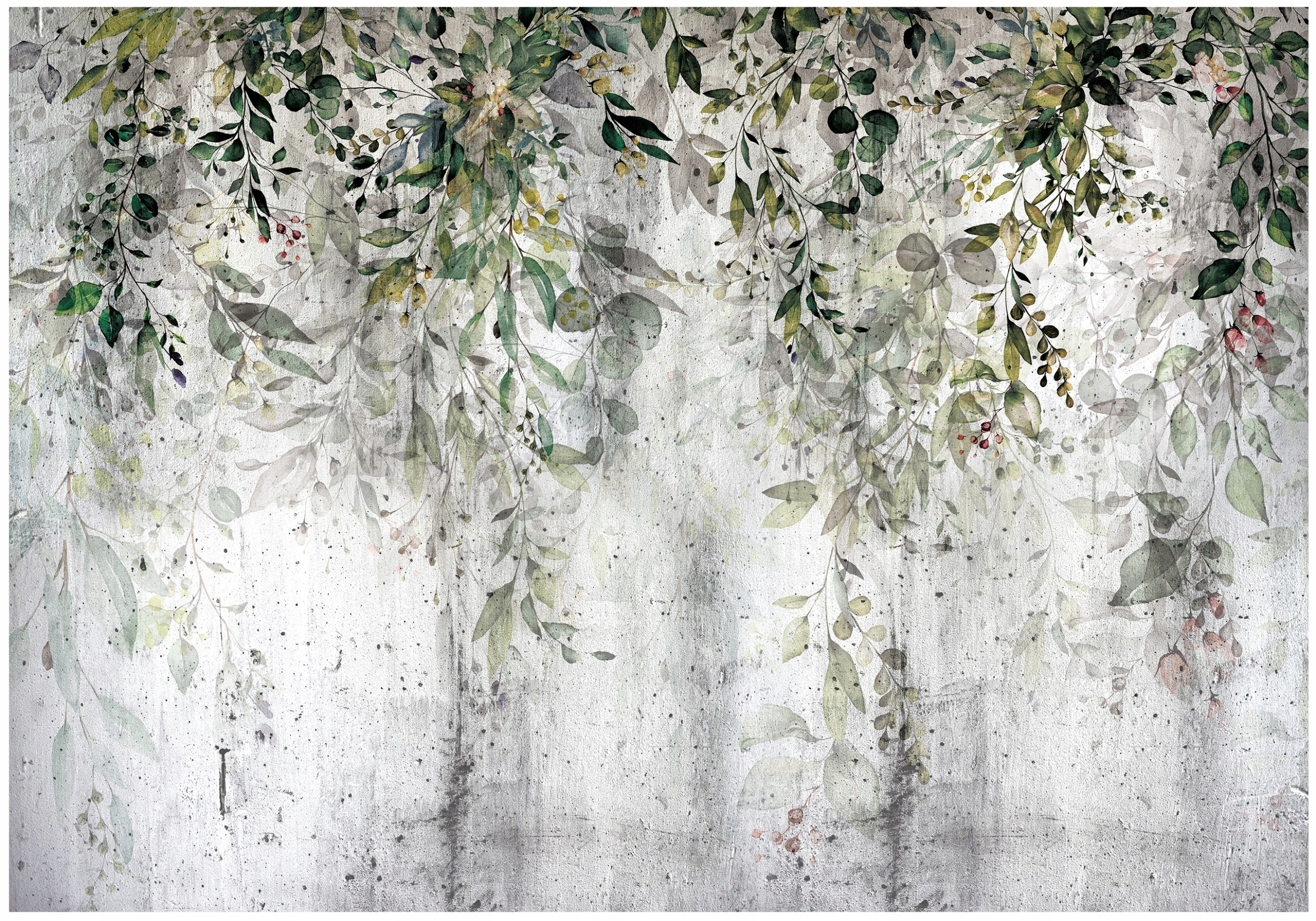 Fototapeta Listy Na Betonu Zelený Břečťan Do Předsíně Pokoje 300x210