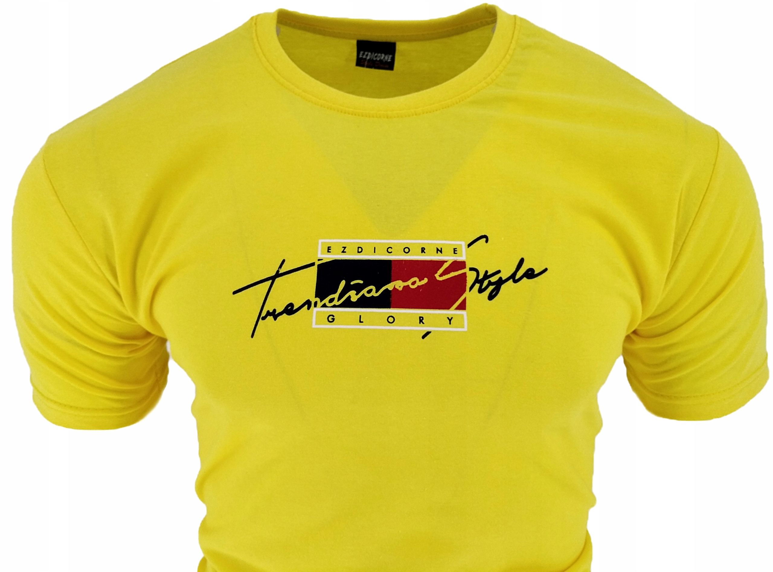 KOSZULKA MĘSKA T SHIRT MĘSKI NAPIS EZD GLORY L Marka inna