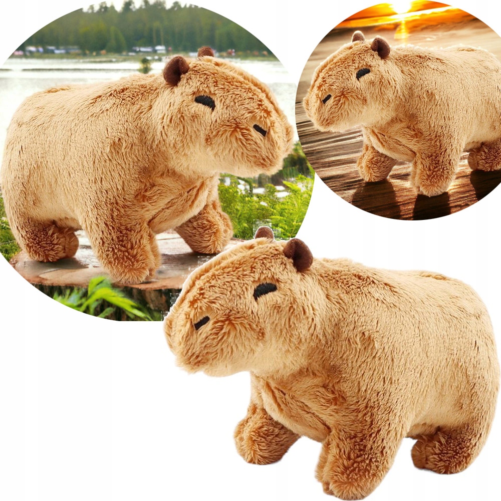 

Kapibara Maskotka Zabawka Pluszowa Dla Dzieci