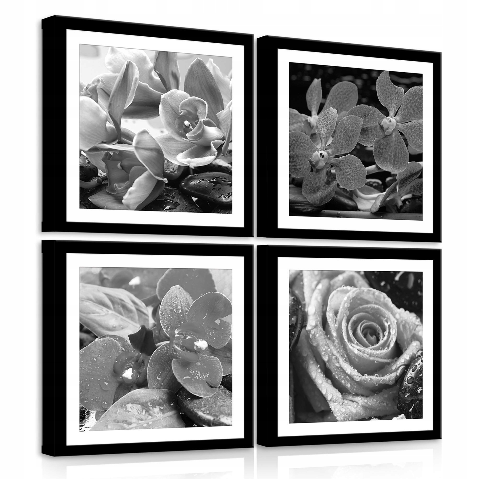 Obraz 50x50 modulární polyptych květiny orchidej růže kapky vody mrtvá