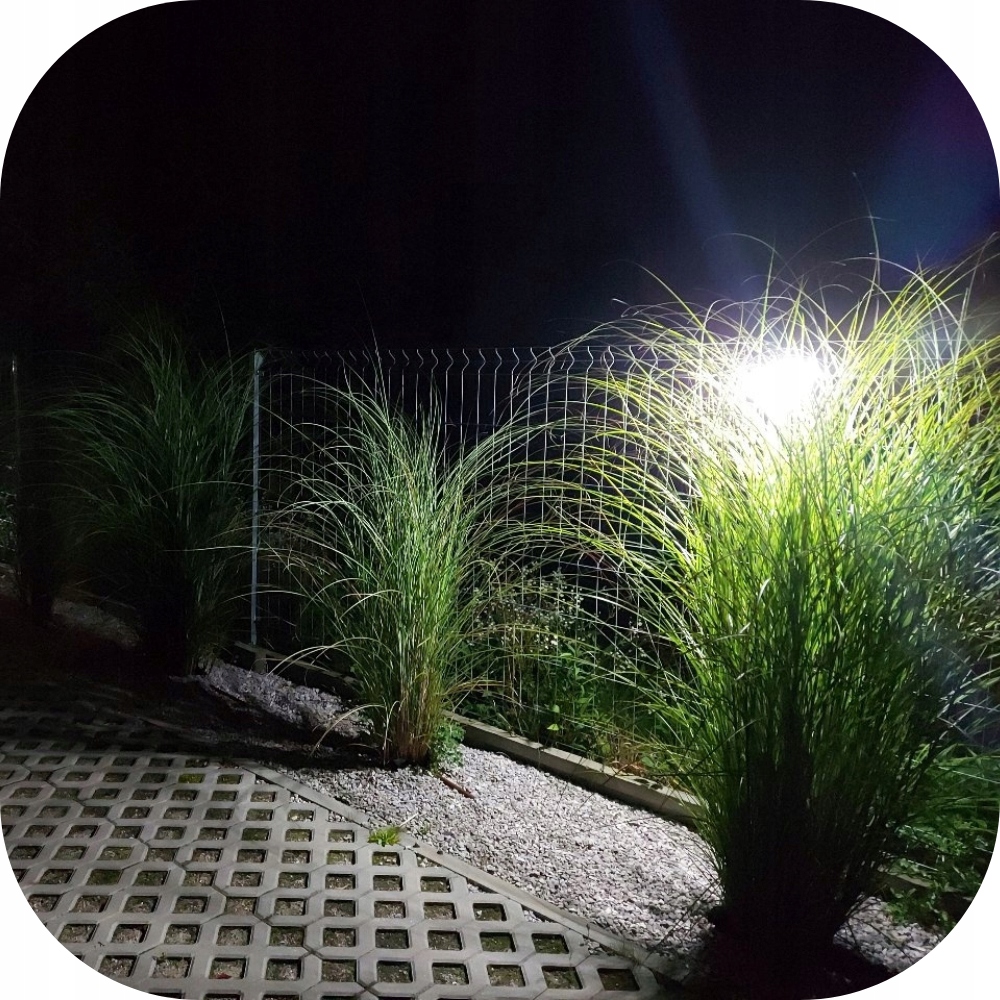 LAMPA SOLARNA Z CZUJNIKIEM RUCHU ZMIERZCHU 100 LED Kolor czarny