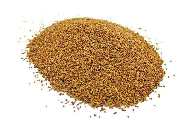 Semena vojtěšky Lucerna krmivo Blaze Company 10 kg