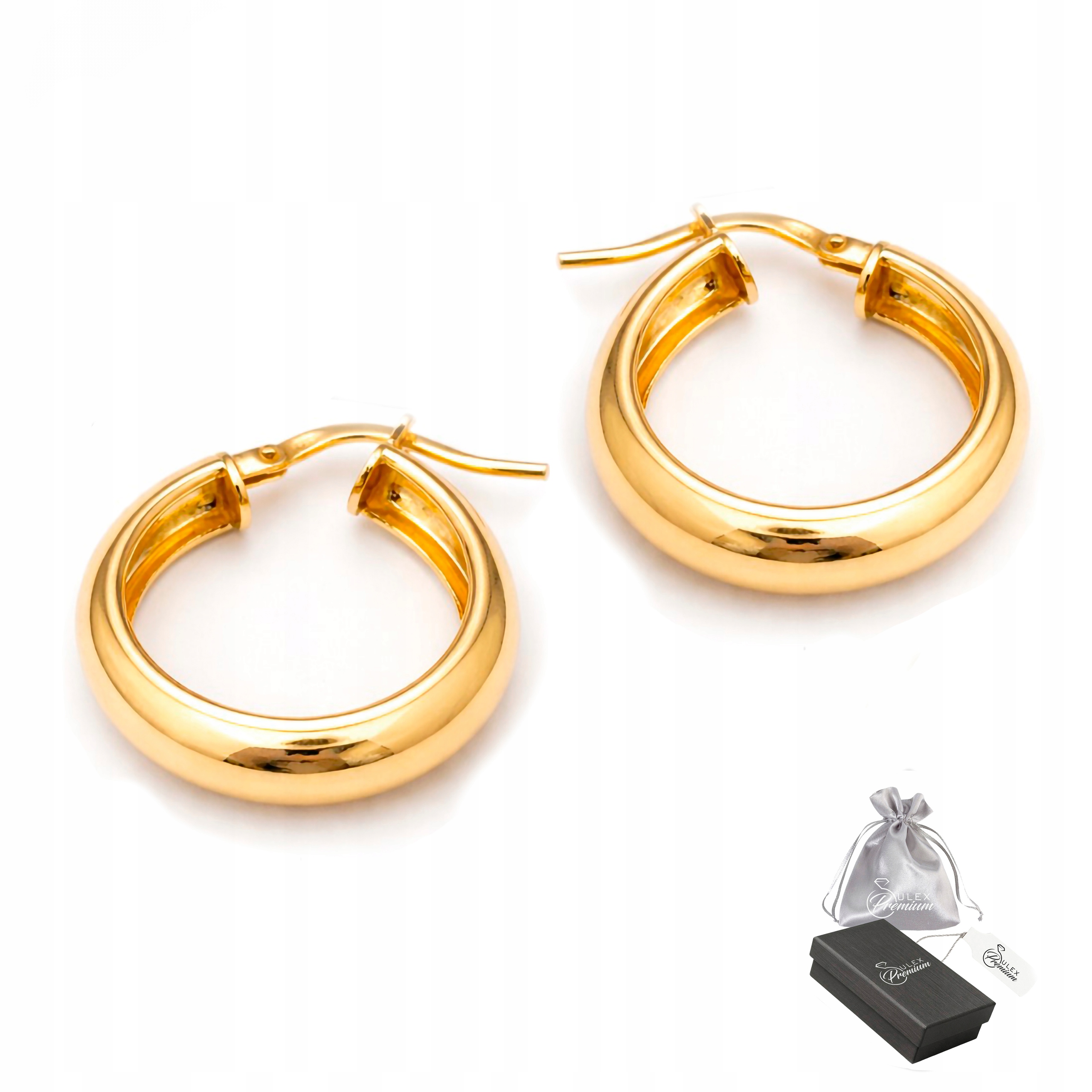 Náušnice stříbro ryzost 925 Pozlacené Elegantní Kola Lesk pro ni Ø 2,0 cm