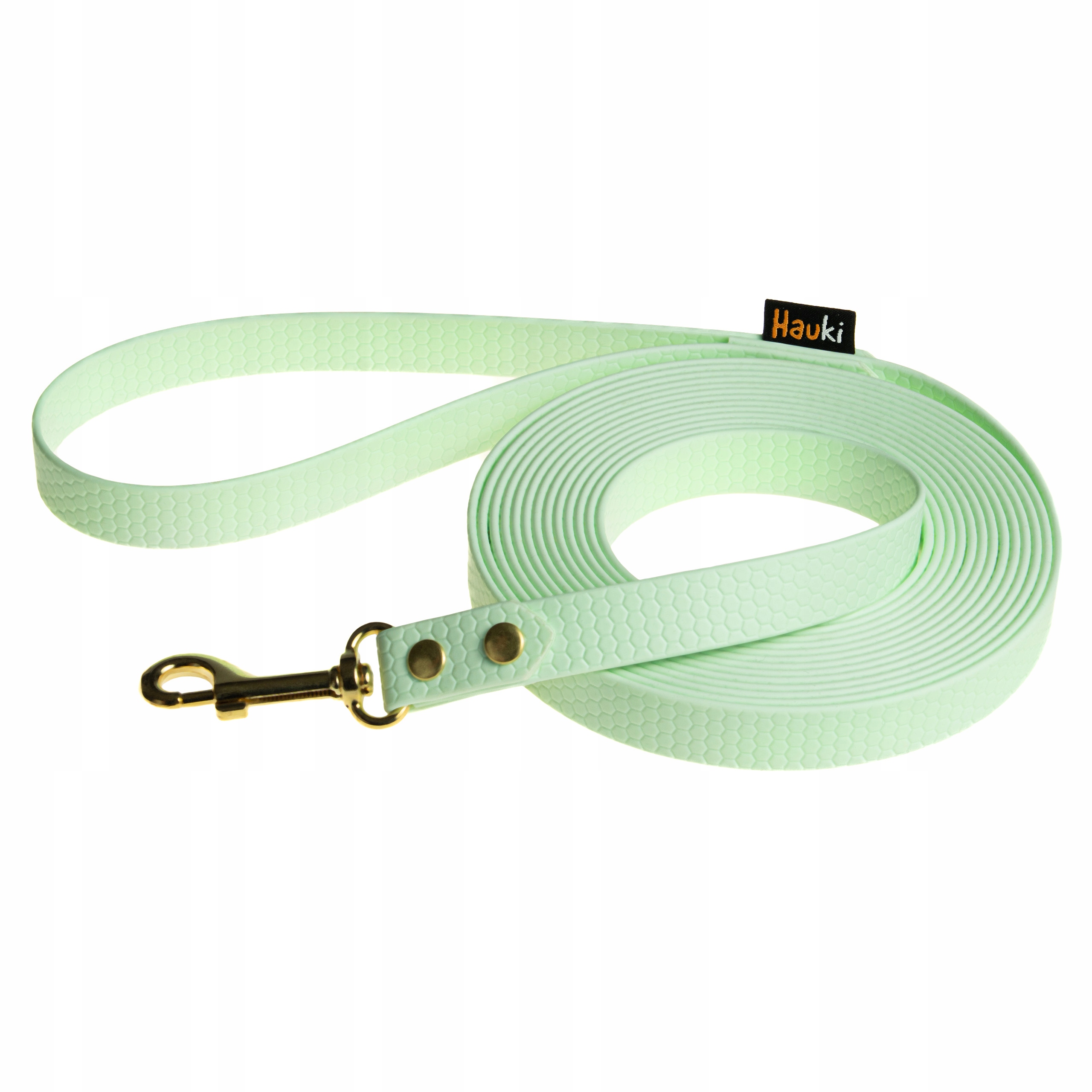 Levně Treningové Vodítko 10 M. Vodítko Pro Psa. Mátová. Zlaté Prvky. Vzor Hexa