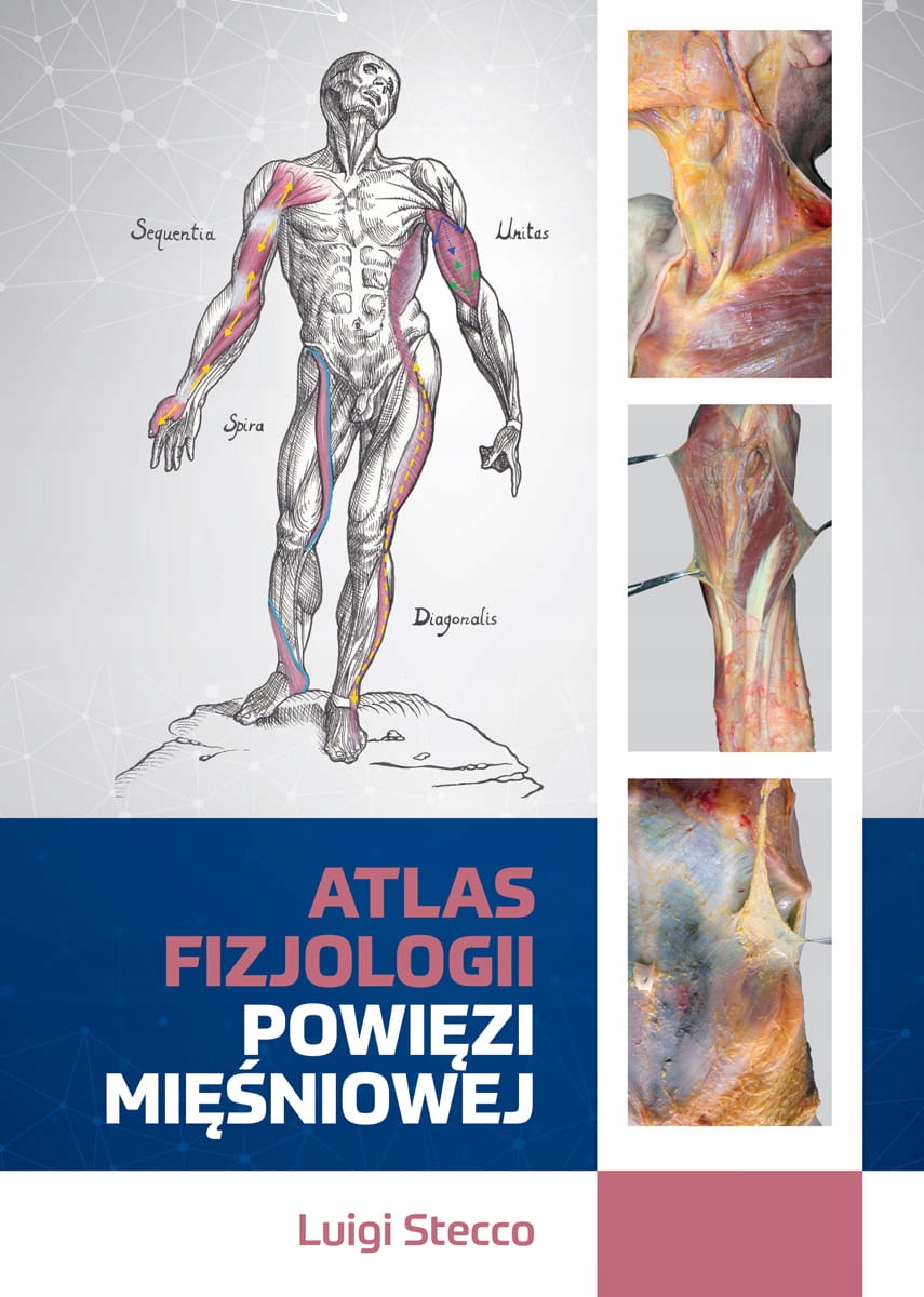 

Atlas fizjologii powięzi mięśniowej Stecco