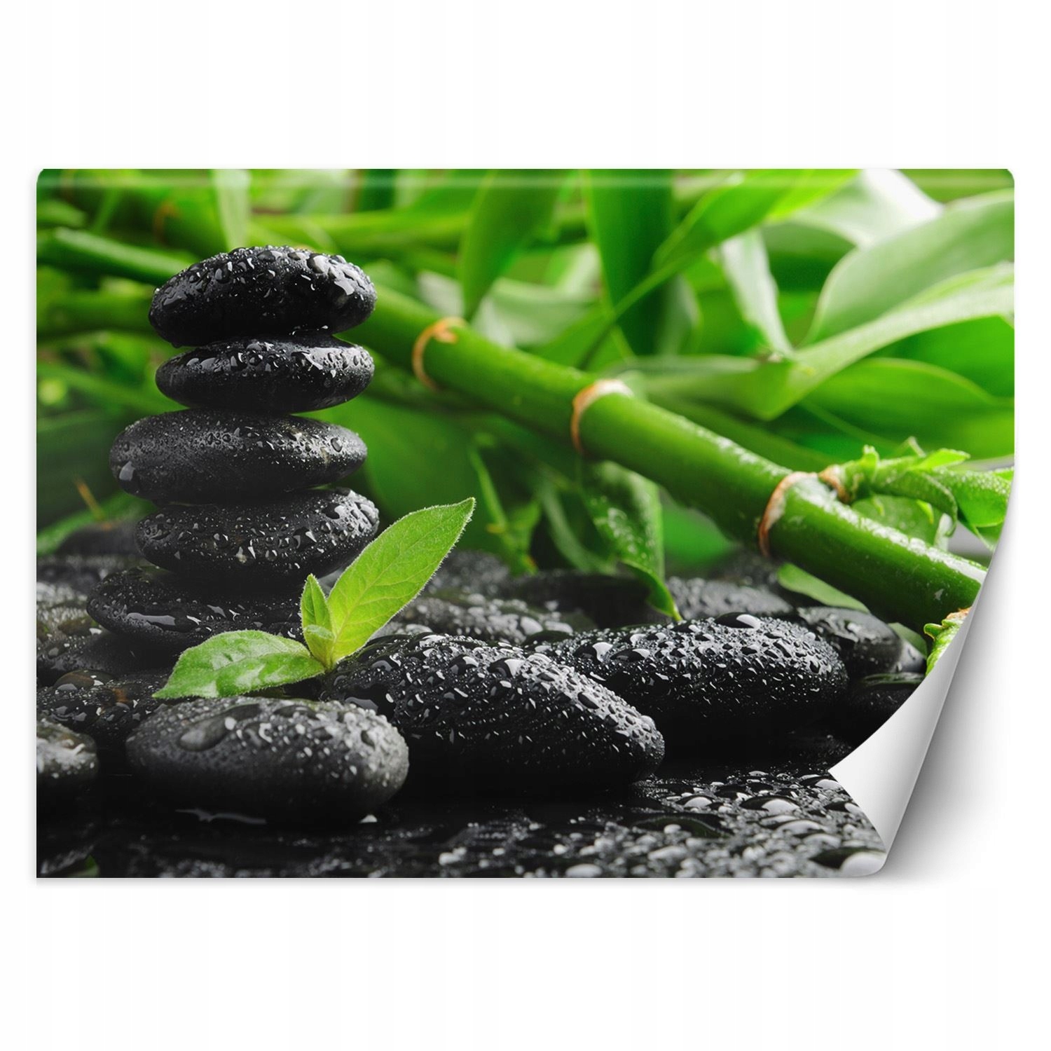 Fototapeta Bambusové kameny zen 250x175