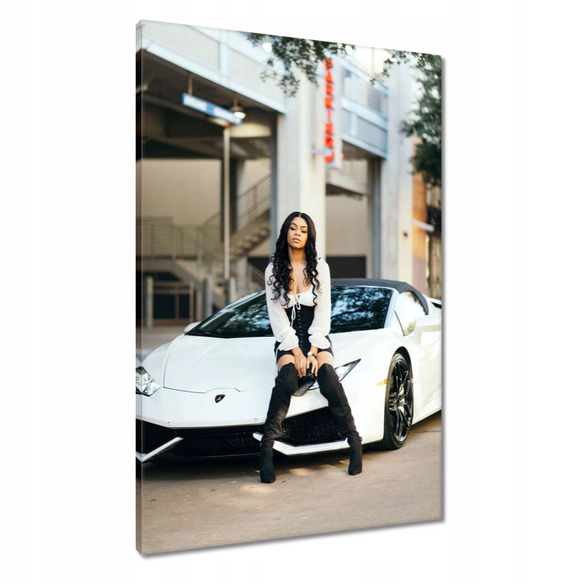 Obrazy 60x90 Laska a bílé auto Fura