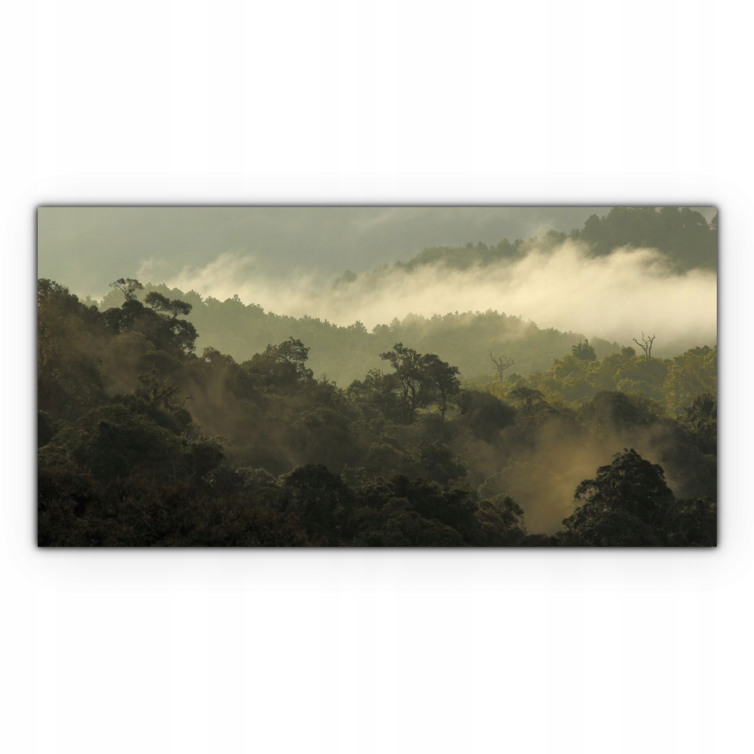 

Obraz canvas na ścianę 120x60 Góry Mgła Las Drzewa