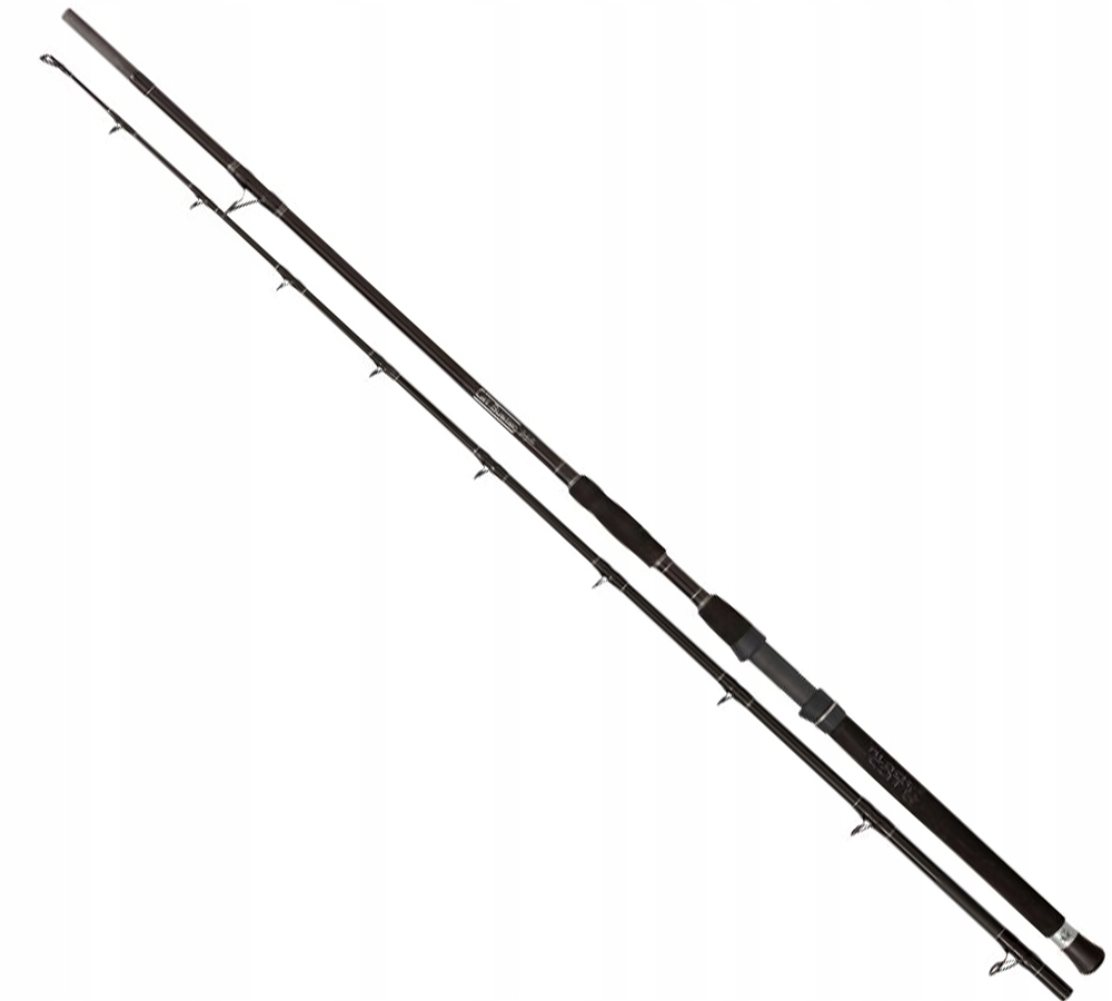 Wędka Sumowa Black Cat Buster 2,80M 300-500G