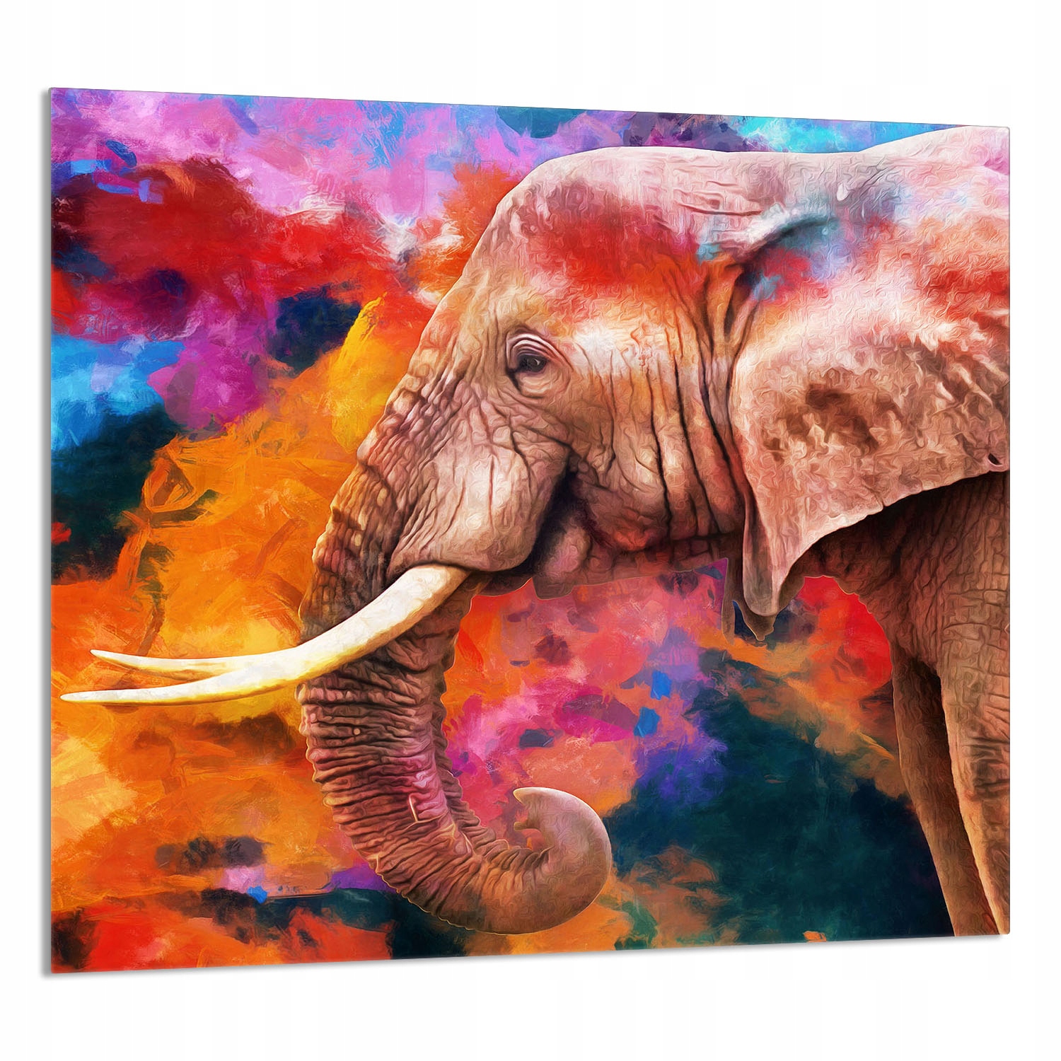 Skleněný Panel Do Kuchyně 65x60 Slon Tvrzené Sklo