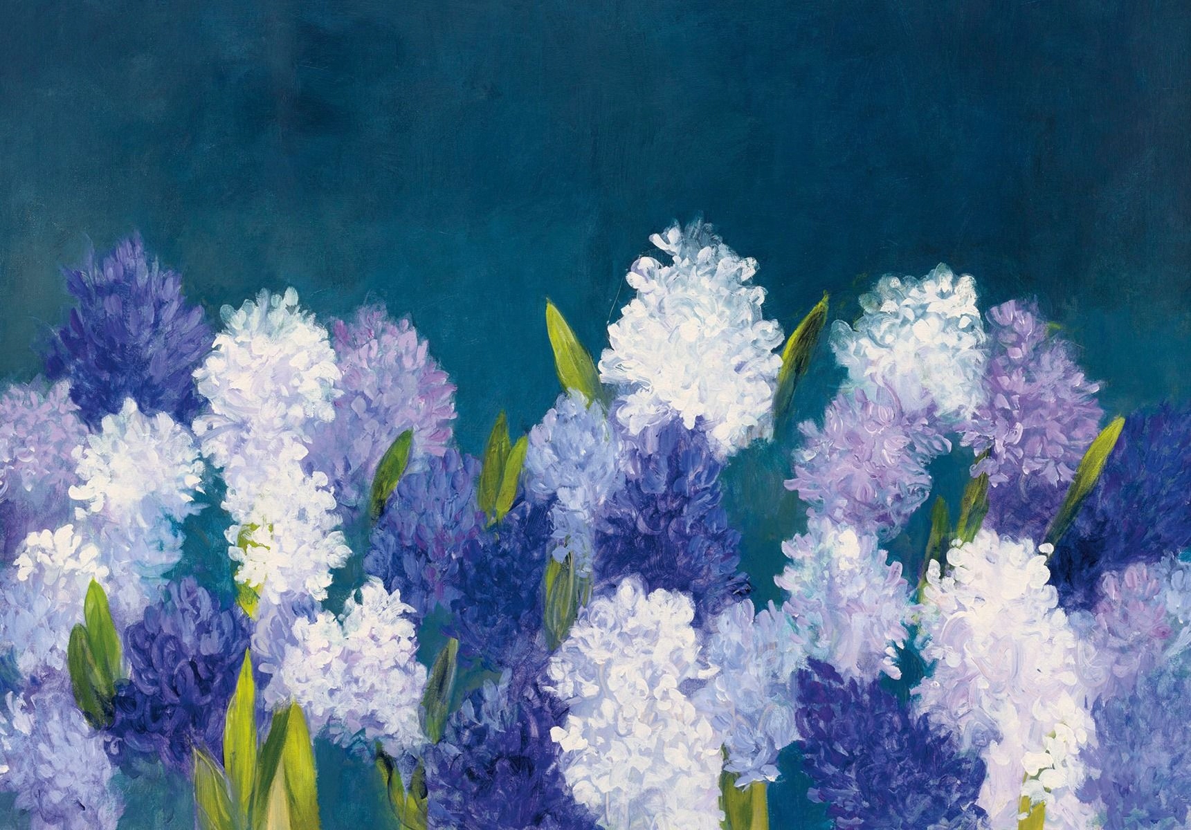 Fototapeta Hyacinty v noci Kvetinový sen Fialová symfónia 416x254 lepidlo