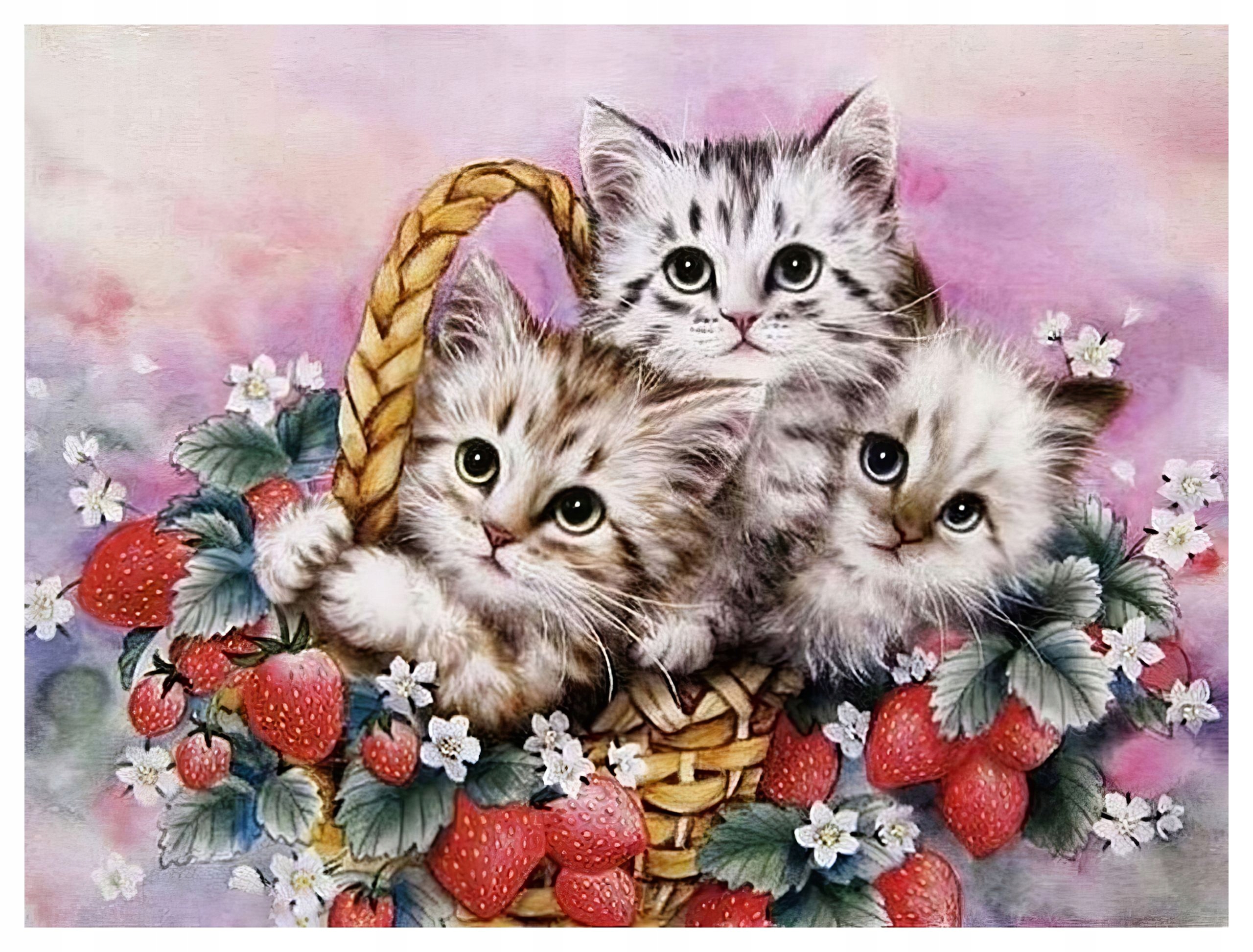 Diamantová Výšivka Diamond Painting Mozaika Sladké Koťátka Tři 45x55 cm K