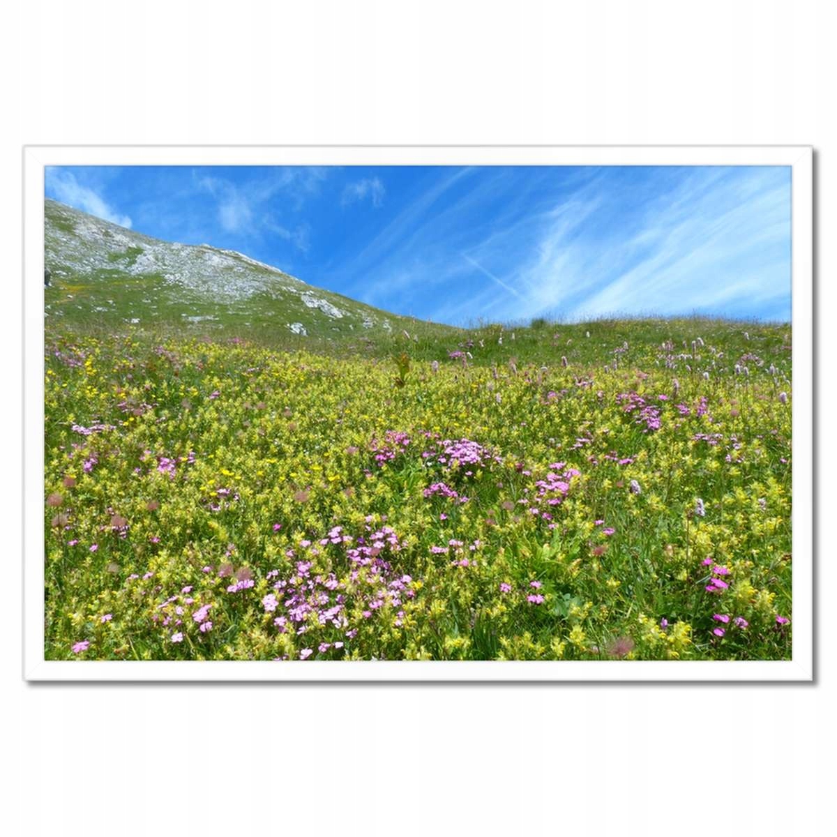 Plakáty v rámu 60x40 Alpská louka
