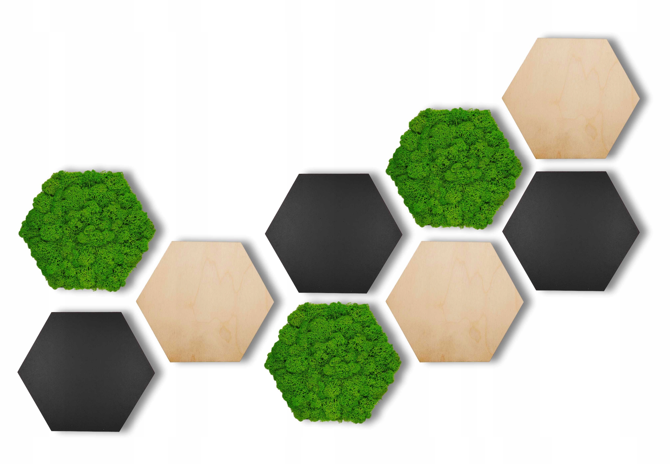 Sada hexagonů Hexagony S Mechem Chrobotkem 9ks Premium