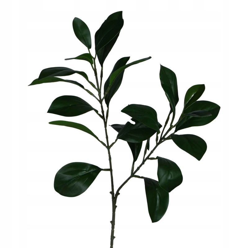 

Sztuczna Magnolia gałązka liściasta 62 cm x1szt