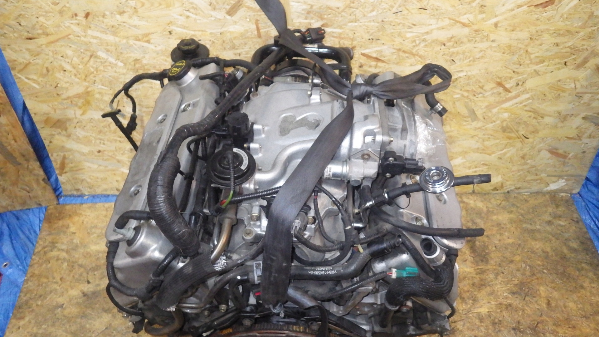 двигатель бензин FORD MUSTANG 4.6 V8 Cobra 1