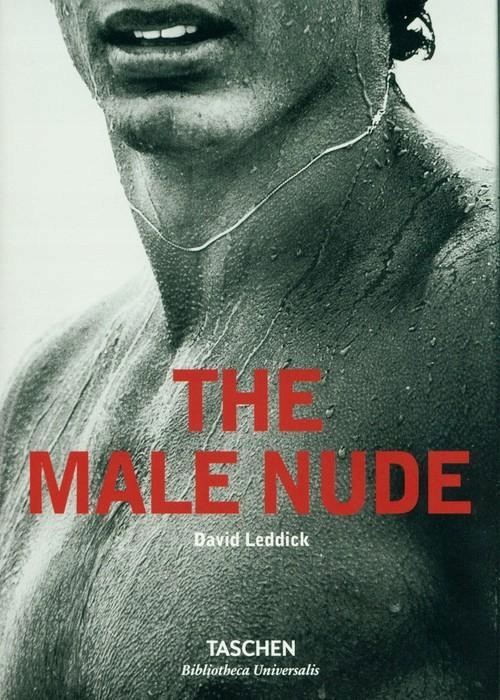 MALE NUDE, LEDDICK DAVID