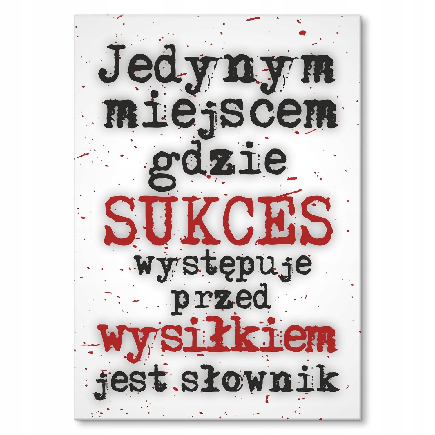 Kovový plakát Úspěch a slovník Dárek 30 x 42 cm