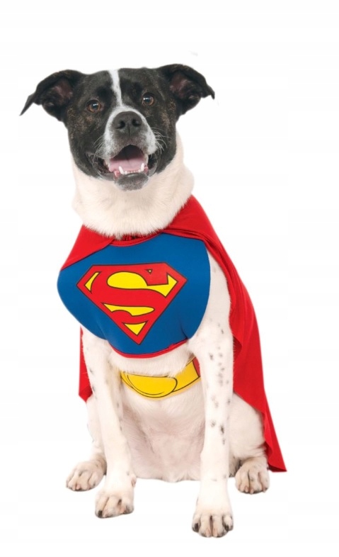 Kostium Strój Przebranie dla Psa Pieska Superman Ubranko, S