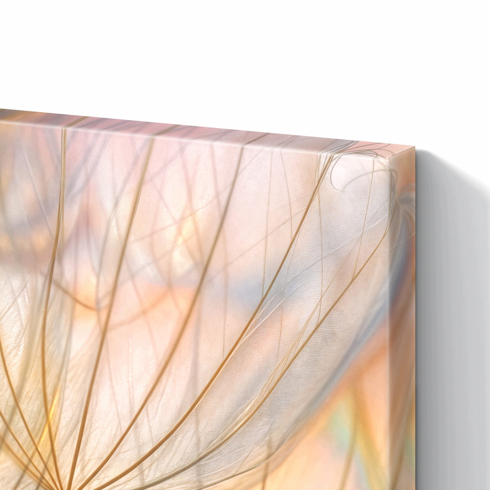 Magnetická tabule Pampelišky Umění 90 × 60 cm