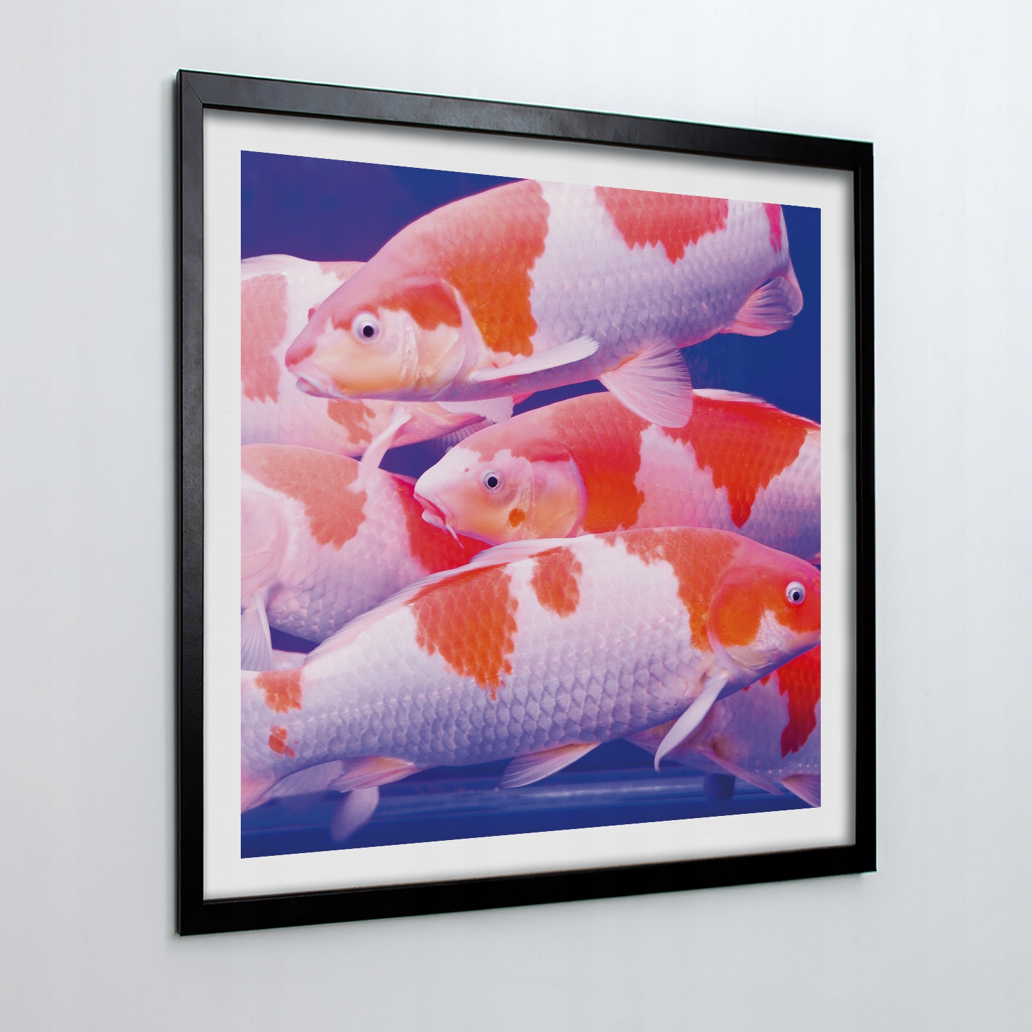 Fotoobraz na stěnu do pokoje Rybí akvárium 50x50