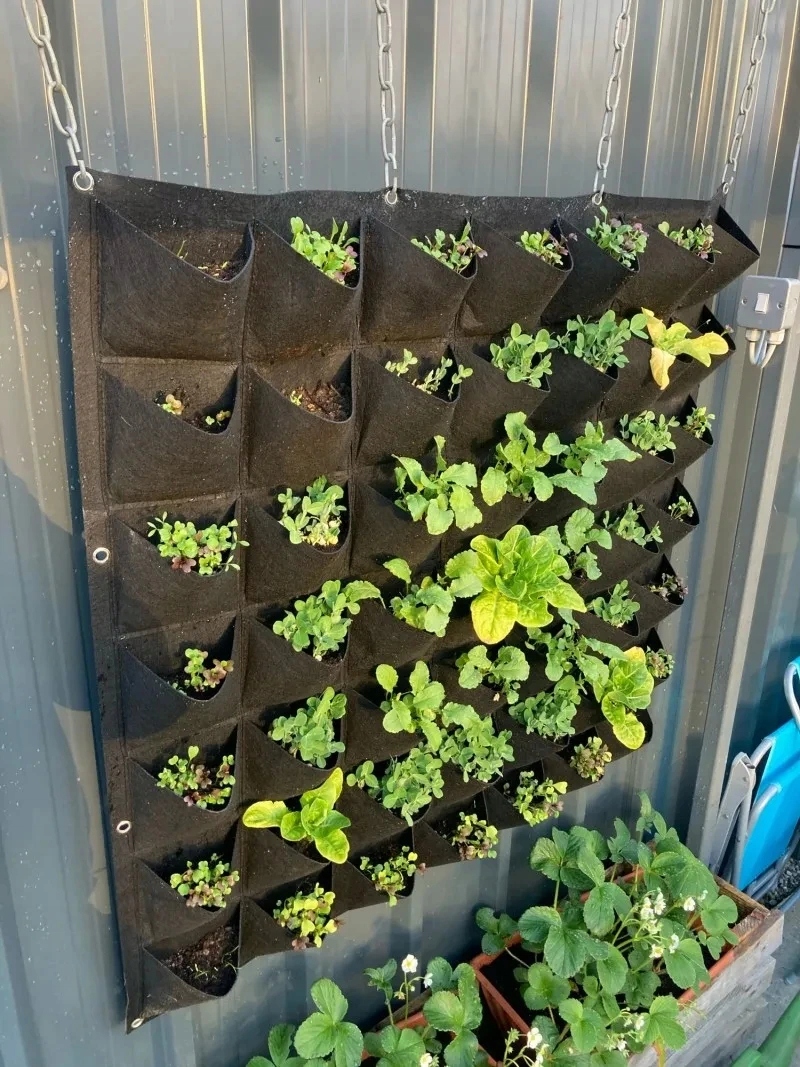 Doniczka WISZĄCA FILC Kaskada WARZYW ZIÓŁ TRUSKAWEK Ogród ZIELNIK 56 miejsc Marka inna