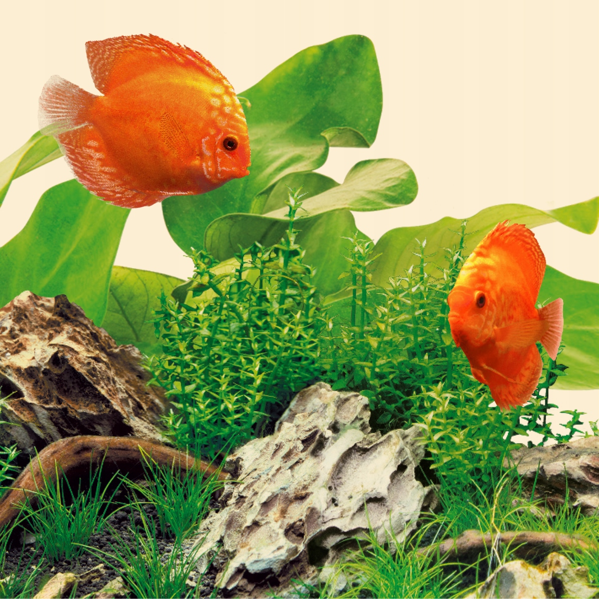 Levně Nature Led zářivka 895 mm