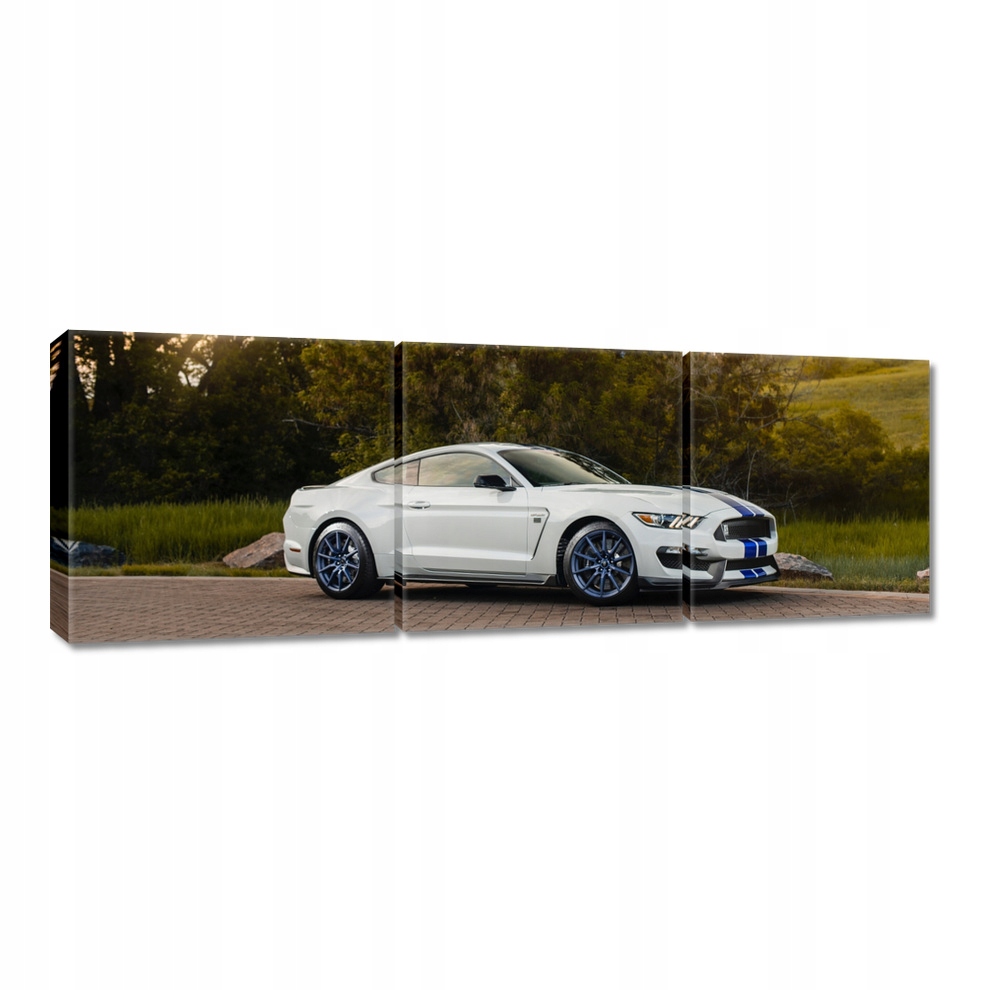 

Obrazy 120x40 Ford Mustang Samochód Usa