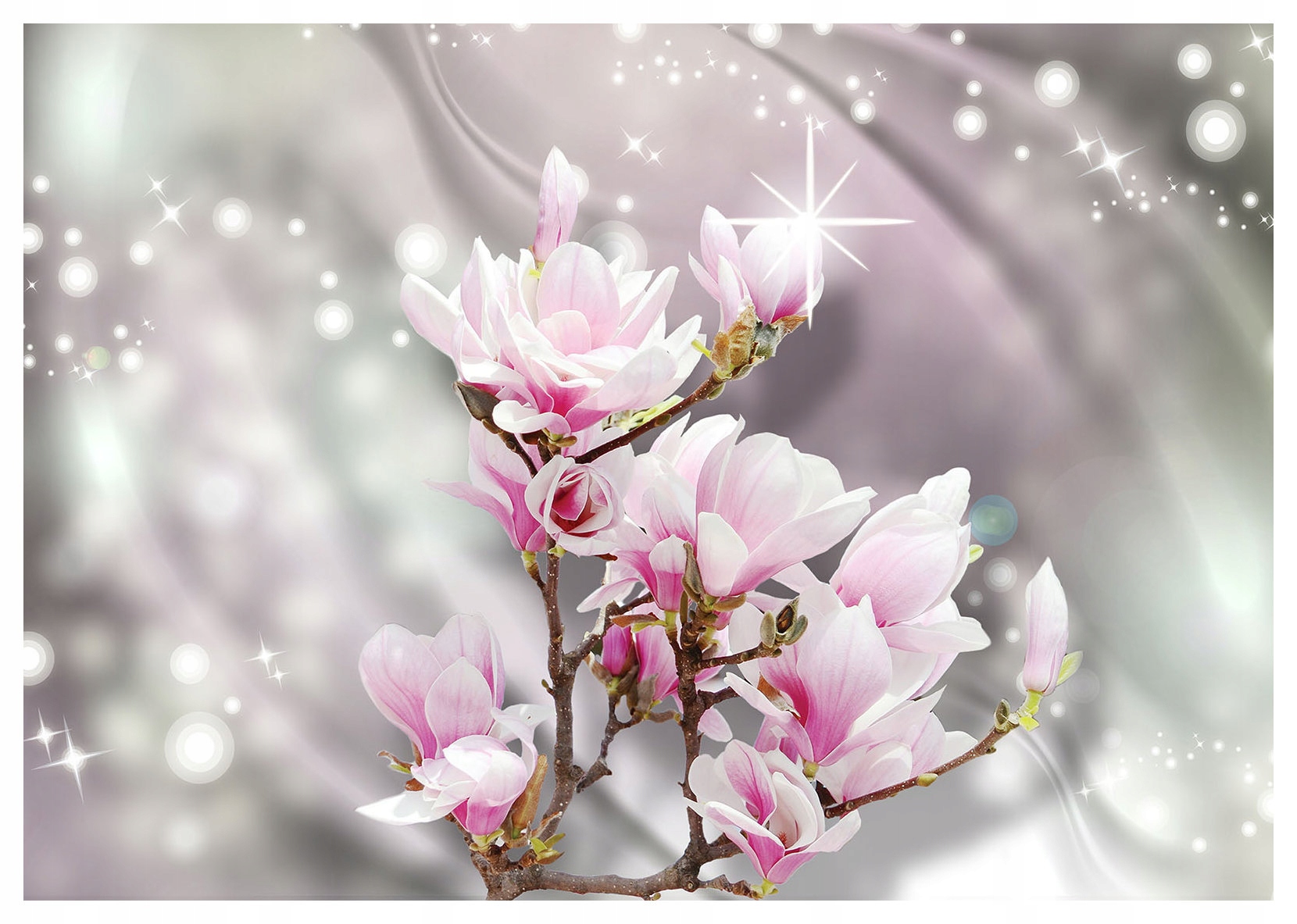 Fototapeta Magnolie kvetoucí jemnost a elegance 200x140 lepidlo