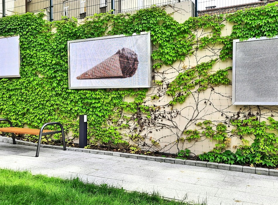 SIATKA PODPORA ROŚLINY PNĄCE OGÓRKI GROSZEK KWIATY PNĄCE FASOLA 2x20m Wysokość produktu 200 cm