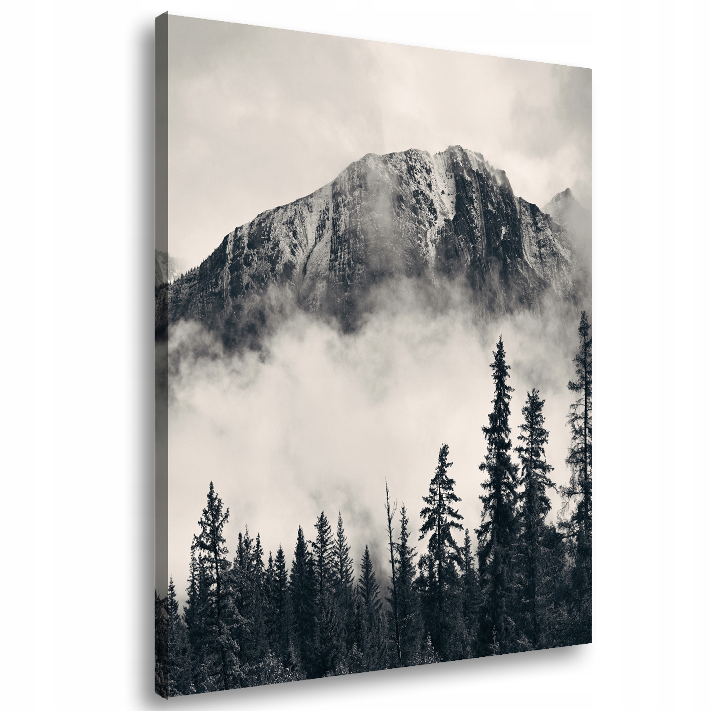 

Obraz na płótnie Góry Las Mgła 83A-60x90cm