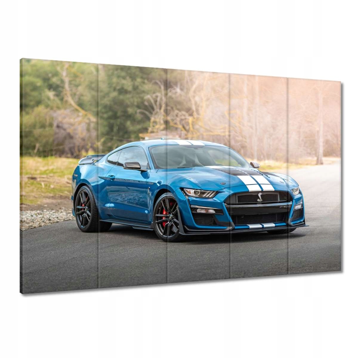 Obrazy 100x70 Modrý Ford Mustang