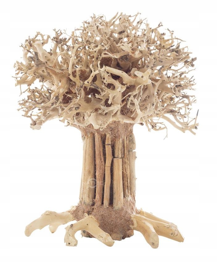 Levně Progrow Bonsai Strom Bt7m 20x15x25cm