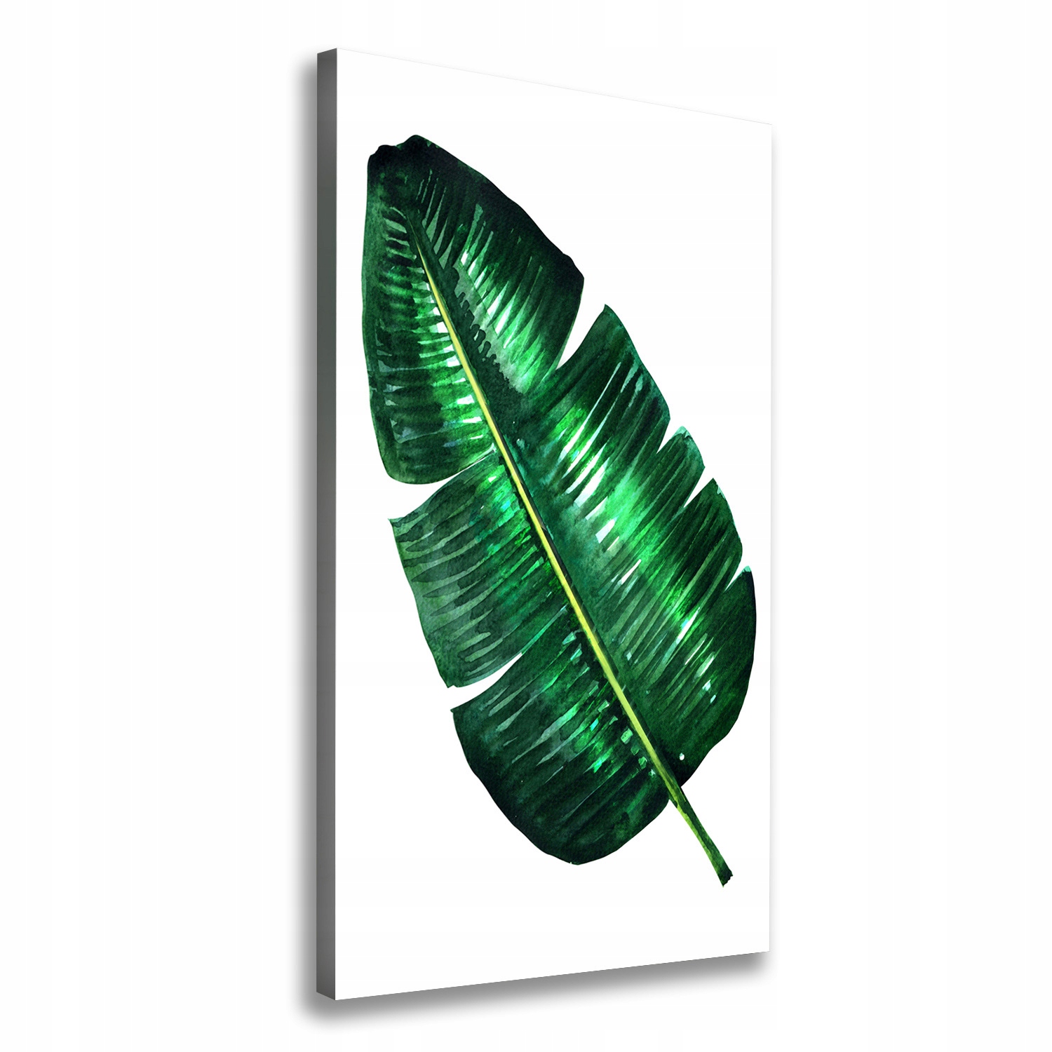 Foto obraz na plátně List banánovníku 70x140 cm
