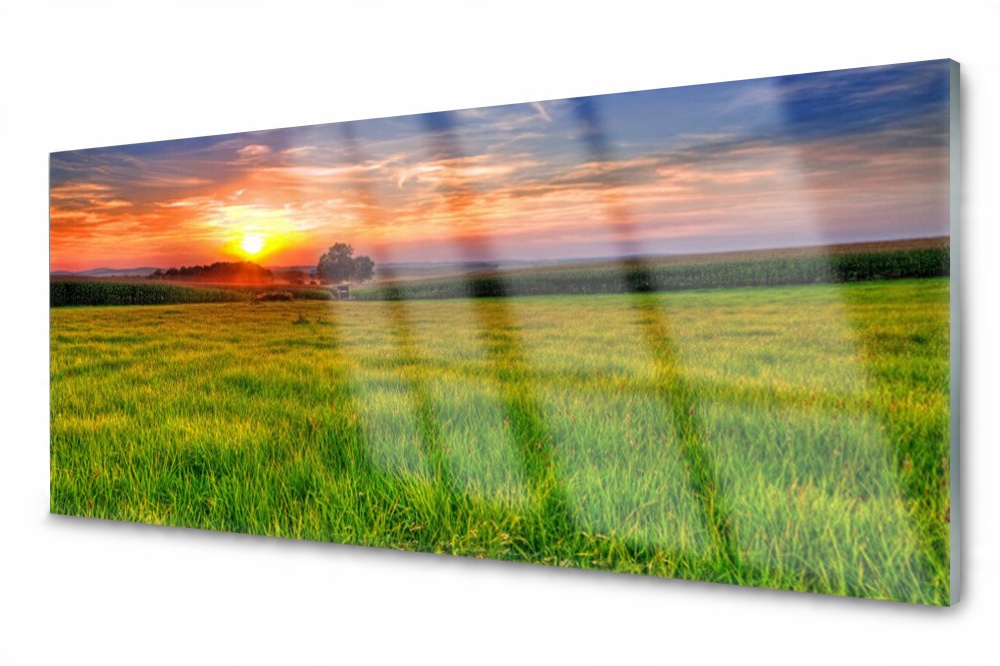 

Panel szklany do kuchni Łąka Słońce Natura 125x50