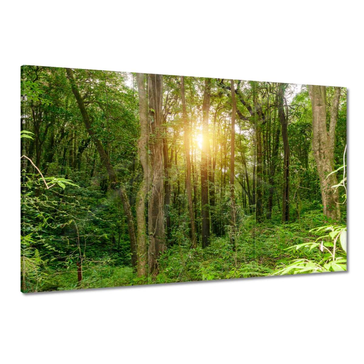 Obrazy 120x80 Krajinný park