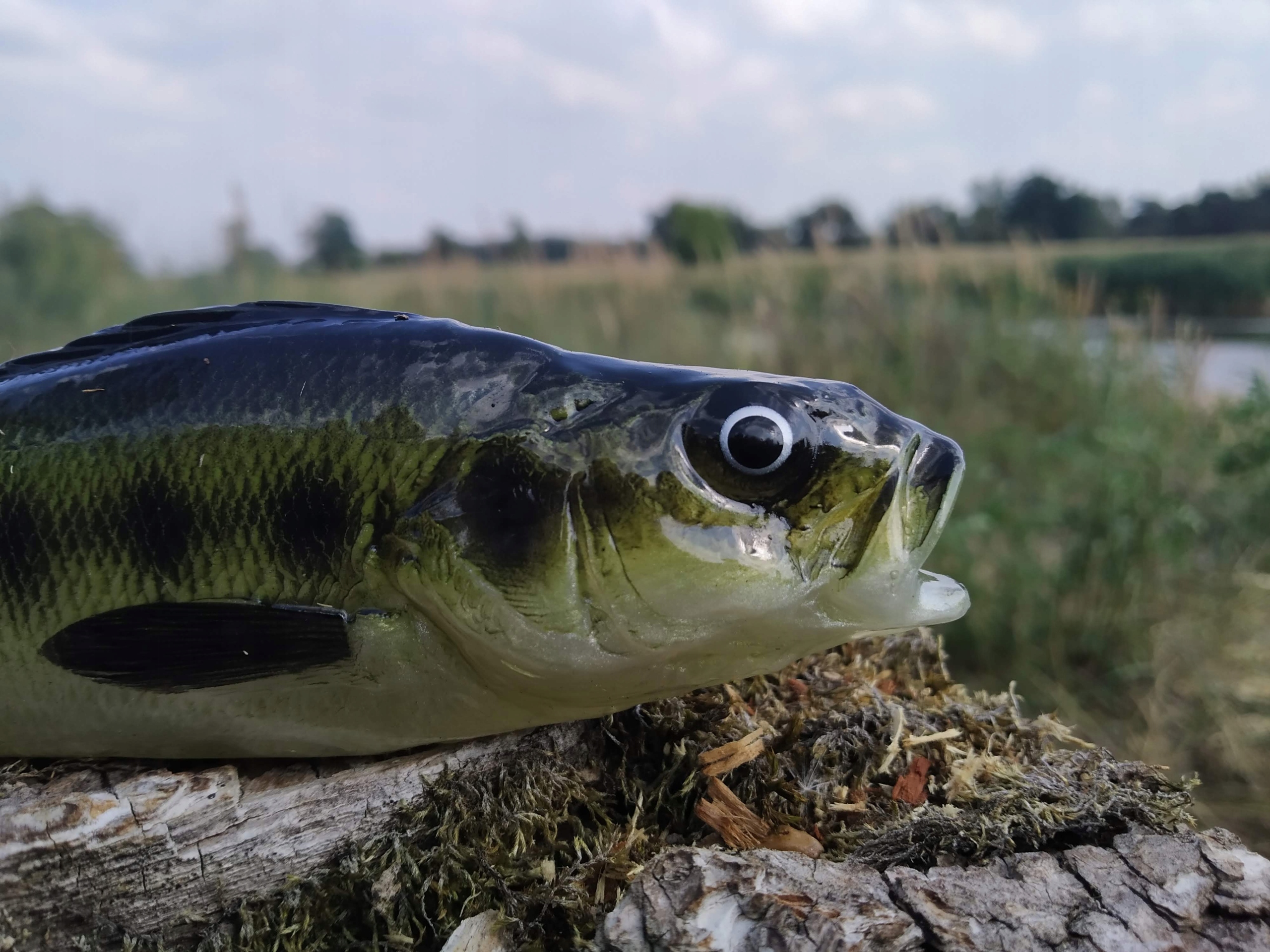 SEWRO CUSTOM BASS 18 cm Marka Sewro Custom