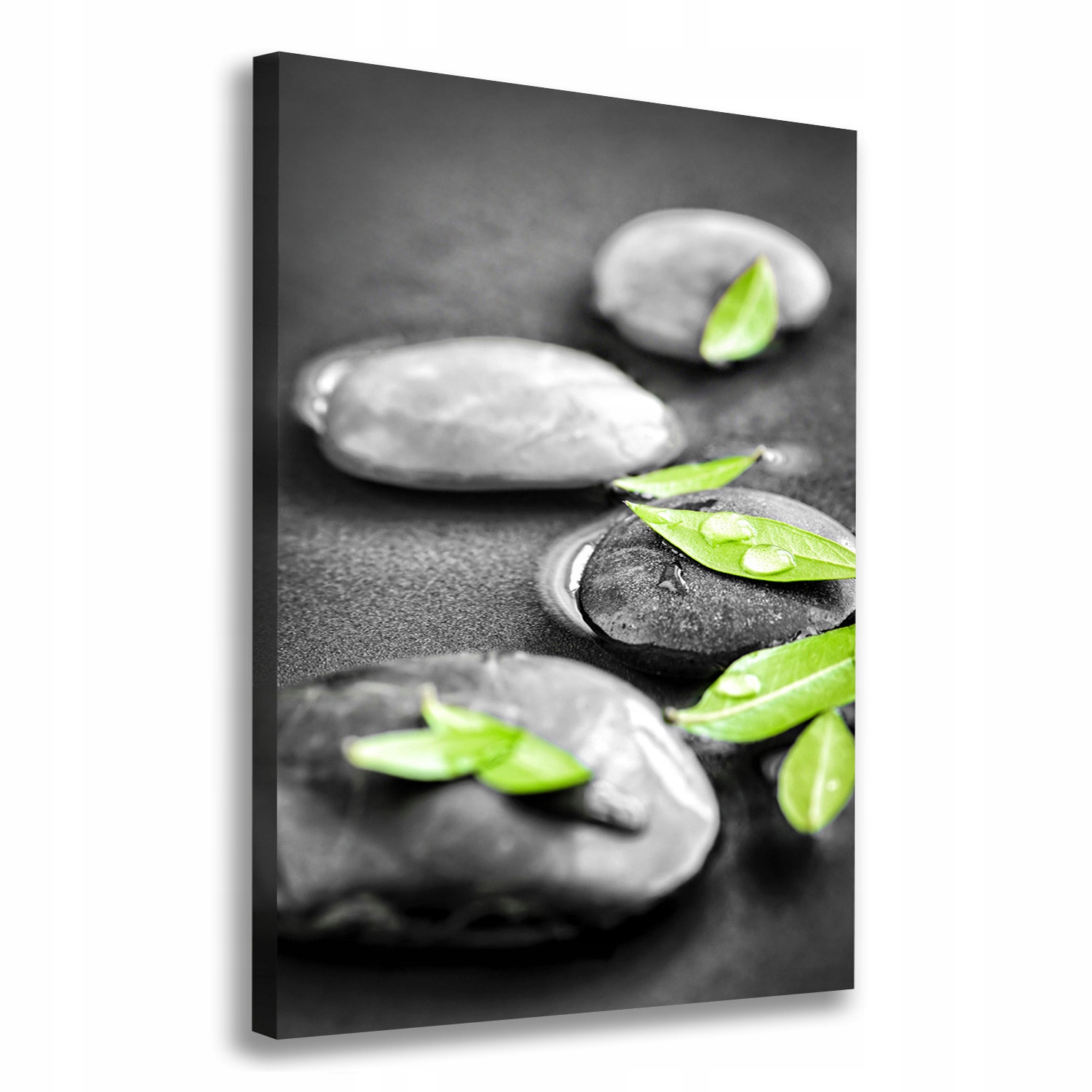 

Foto obraz na płótnie Liście kamienie zen 70x100cm