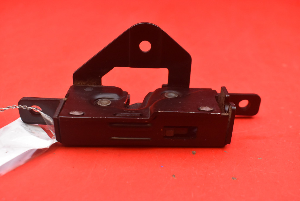 lock RYGIEL BURTY left 5124-8408963 BMW X5 E53 99-03