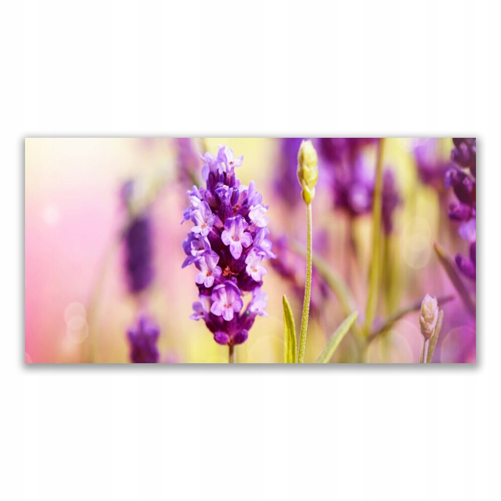 

Obraz wiszący ścienny 120x60 Kwiaty Roślina Natura
