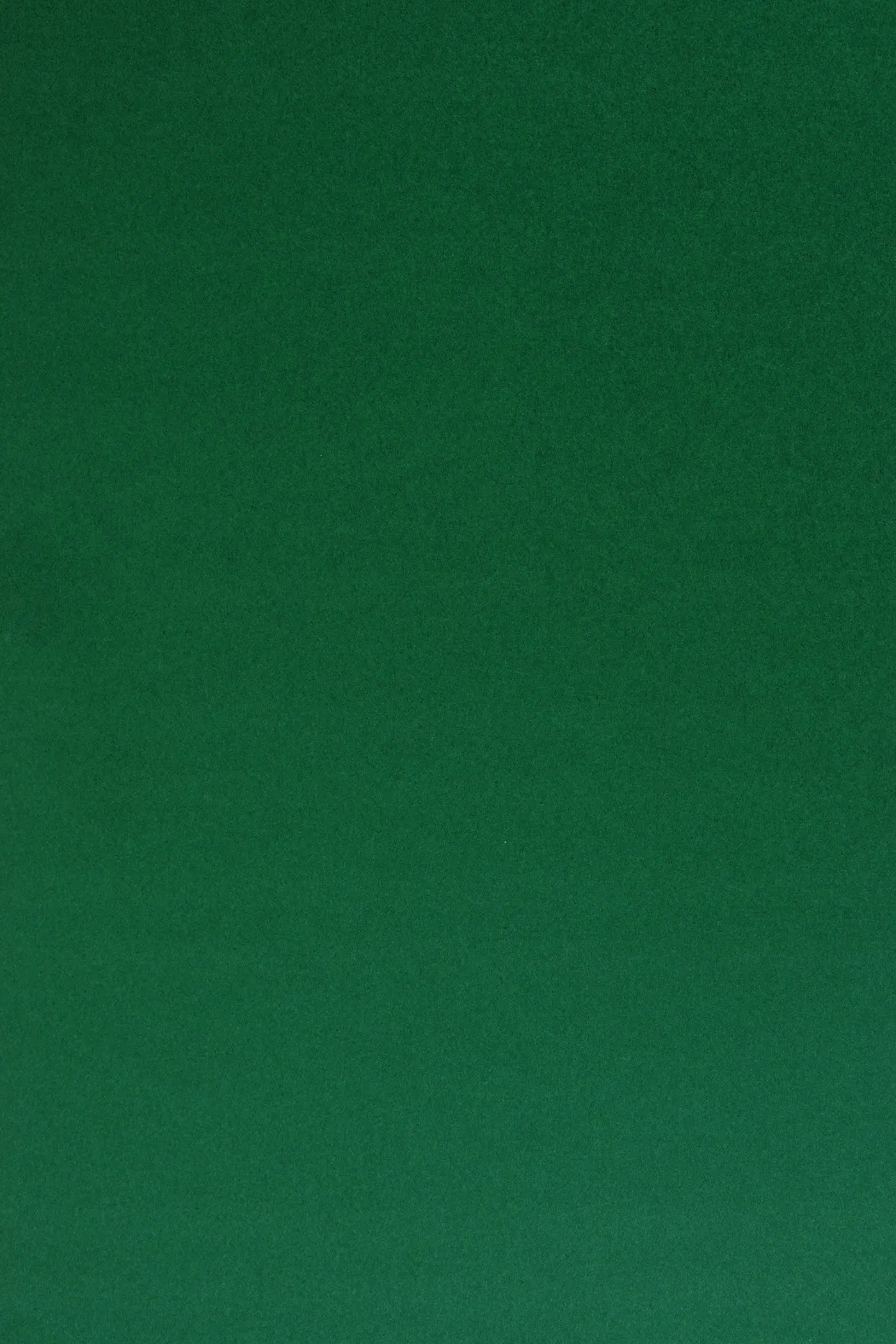 

Papier Sirio Col. 210g Foglia zielony 25A4