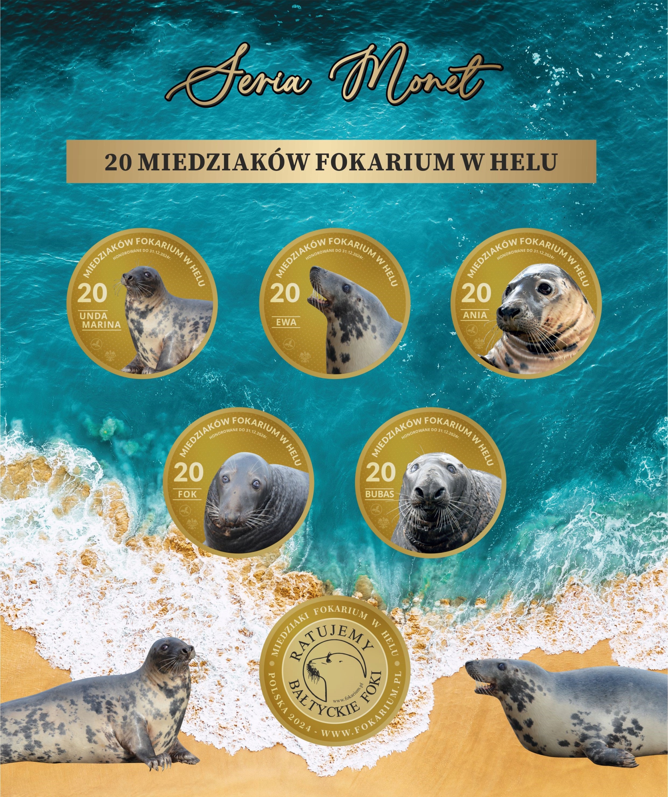 MAGNES – FOKARIUM W HELU – FOKA - EWA - SERIA - B Kod producenta MMFHB-03